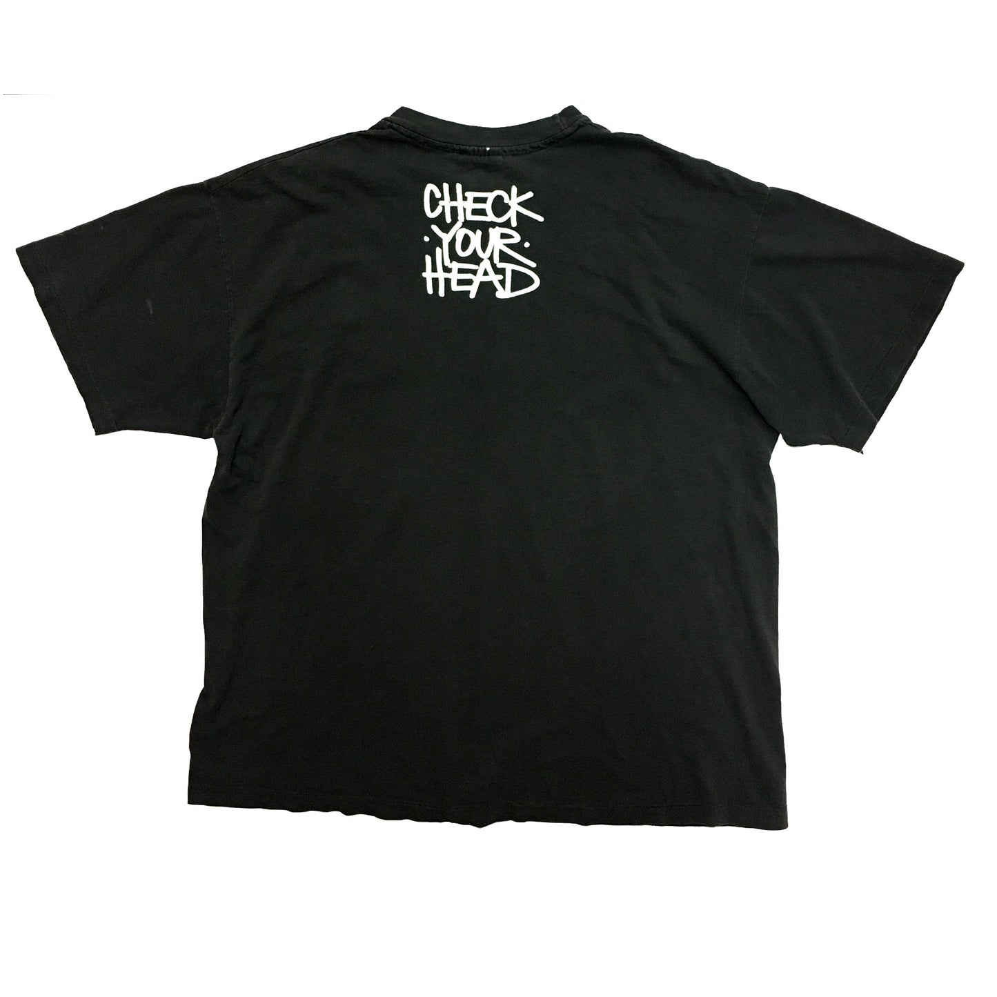 VINTAGE BEASTIE BOYS CHECK YOUR HEAD T-SHIRT