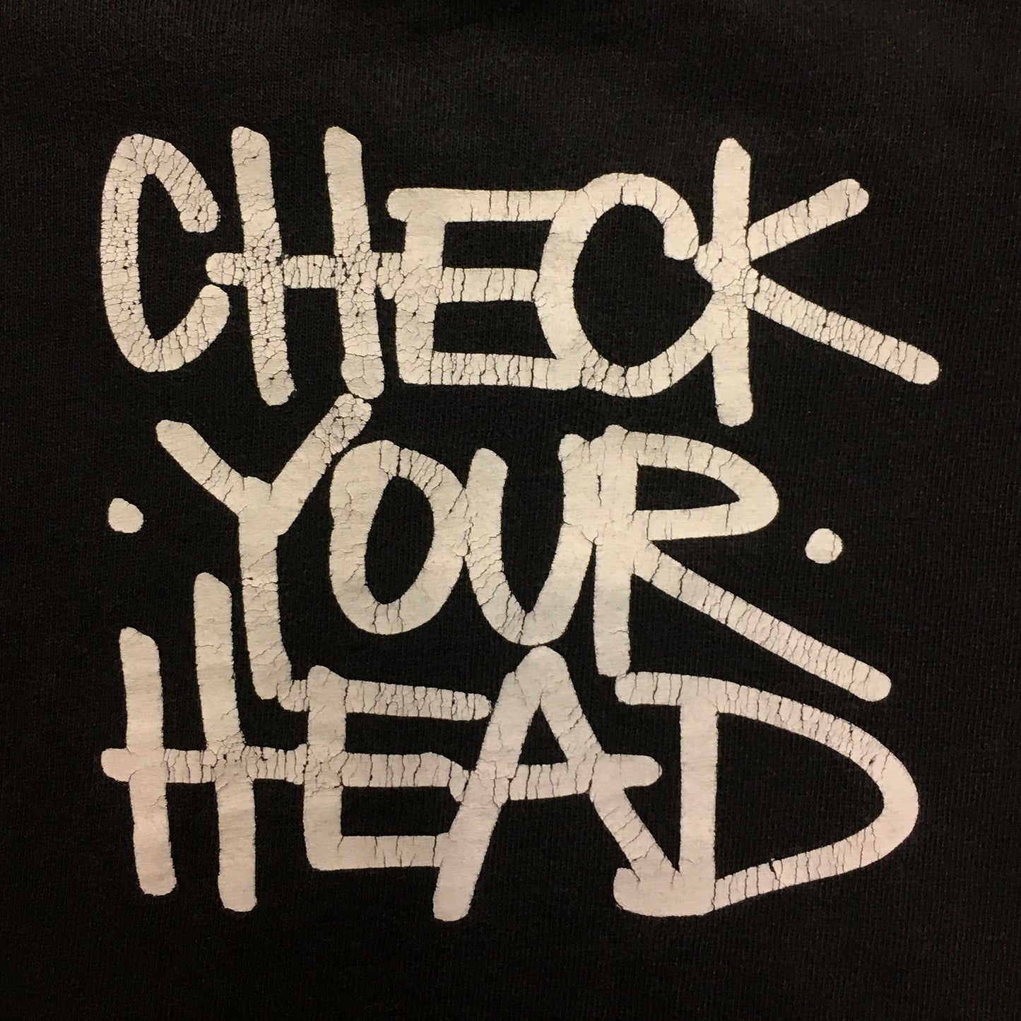 VINTAGE BEASTIE BOYS CHECK YOUR HEAD T-SHIRT
